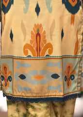 Minsa embroidered 2-piece suit by Tehzeeb Libas (view 3)