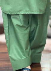 Pistachio solid farshi 2-piece suit by Tehzeeb Libas (view 4)
