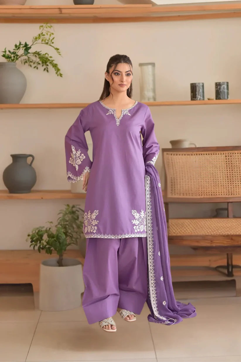 neelum embroeded 3pc